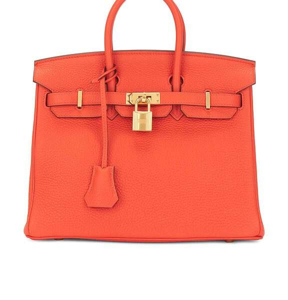 Hermes Togo Birkin 25 Handbag
                    

                    FWRD Renew