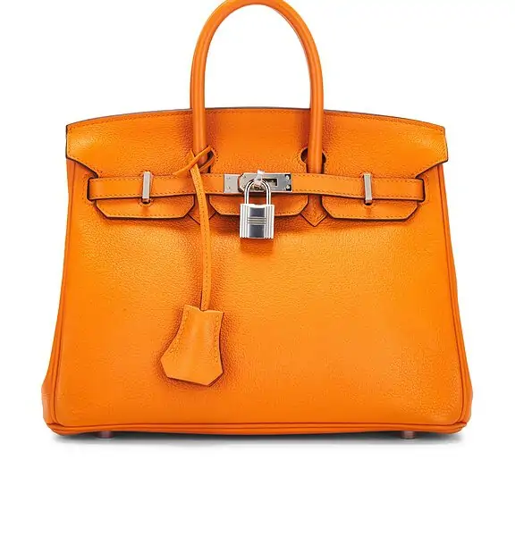 Hermes Novillo Birkin 25 Handbag
                    

                    FWRD Renew