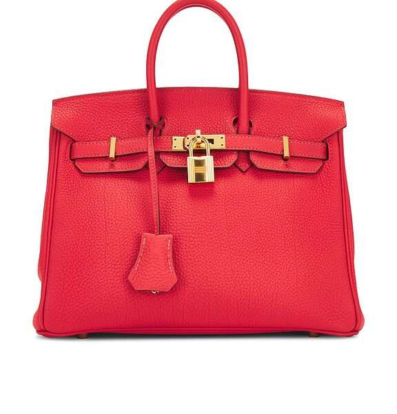 Hermes Togo Birkin 25 Handbag
                    

                    FWRD Renew