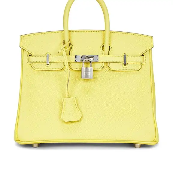 Hermes Epsom Birkin 25 Handbag
                    

                    FWRD Renew