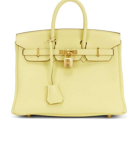 Hermes Togo Birkin 25 Handbag
                    

                    FWRD Renew