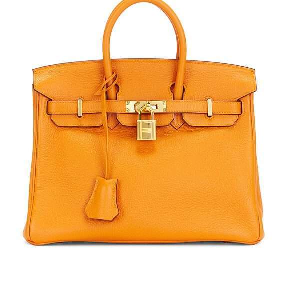 Hermes Togo Birkin 25 Handbag
                    

                    FWRD Renew