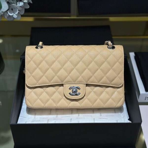 Chanel Classic Silver Lock Luxury Handbag 25cm