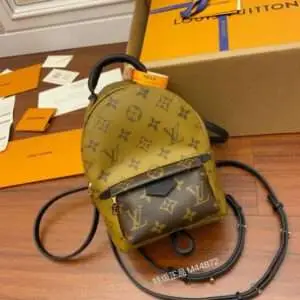Louis Vuitton LV Palm Springs Mini Monogram Super Fake Backpack 17x22cm
