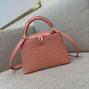 Louis Vuitton LV Capucines BB Earthy Red Like Auth Handbags 27cm