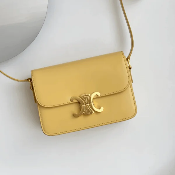 Celine Mini Handbag Orange Yellow Super Quality Smooth Leather 19cm