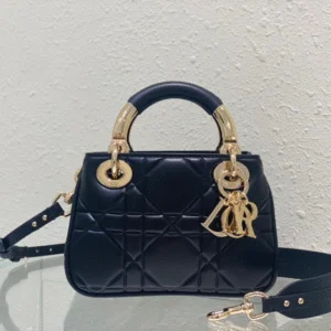 Dior Lady Women's Handbag Super Black with Gold Plated Buckle 20x13x8cm