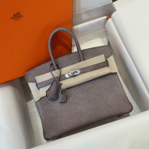 Hermes Birkin 25 Tris Fonce Lizard Like Auth Handbags With Lock Silver 25cm