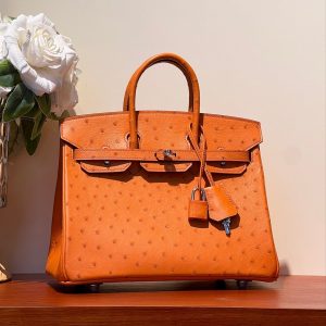 HERMES BIRKIN 25 BAG IN FIRE ORANGE OSTRICH LEATHER WITH SILVER HARDWARE
