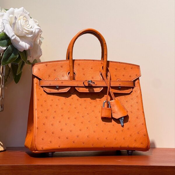 HN 25 BAG IN FIRE ORANGE OSTRICH LEATHER WITH SILVER HARDWARE