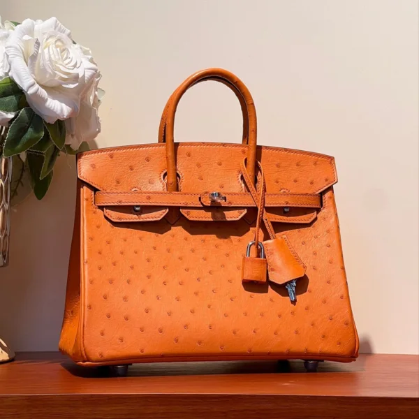 HN 25 BAG IN FIRE ORANGE OSTRICH LEATHER WITH SILVER HARDWARE