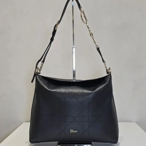 Diorly Bag
