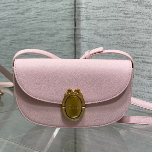 Dior Small Dior Médaillon Flap Bag in Pink