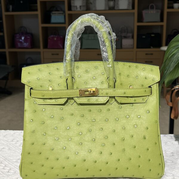 Hermes Birkin 25cm Ostrich Leather Gold Hardware