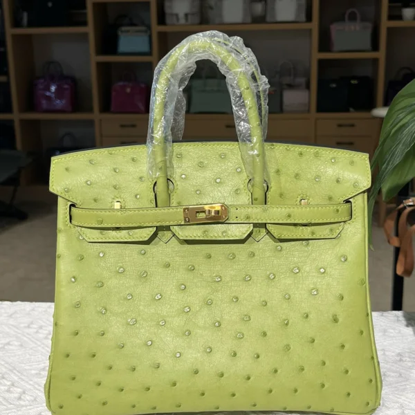Hermes Birkin 25cm Ostrich Leather Gold Hardware