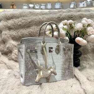 Hermes Birkin 25cm Himalaya Crocodile Leather Silver Hardware