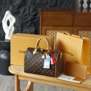 LV Speedy 30 Crafty