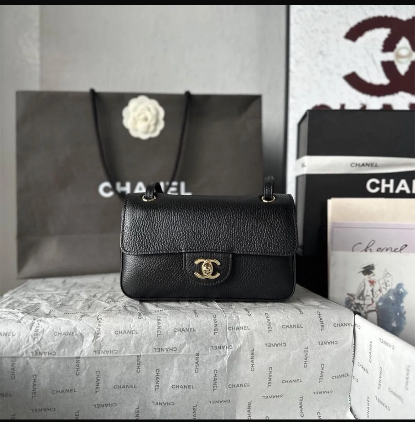 Chanel Bag