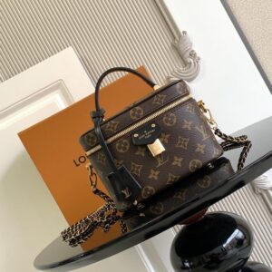 Louis Vuitton Vanity Chain Pouch